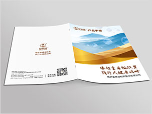 陇药皇甫谧制药产品手册设计海报设计