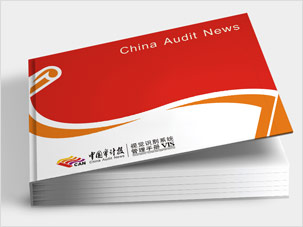 中国审计报全套vi设计案例图片与设计理念说明