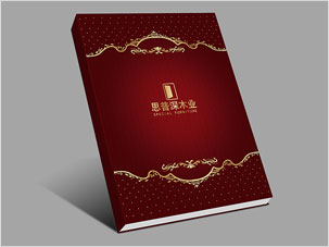 北京思普深家具公司宣传画册设计案例图片