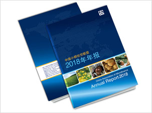 中国小额信贷联盟年报设计制作案例图片