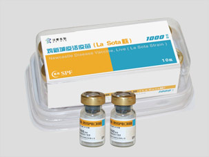 北京华都生物兽药动物疫苗药品包装设计