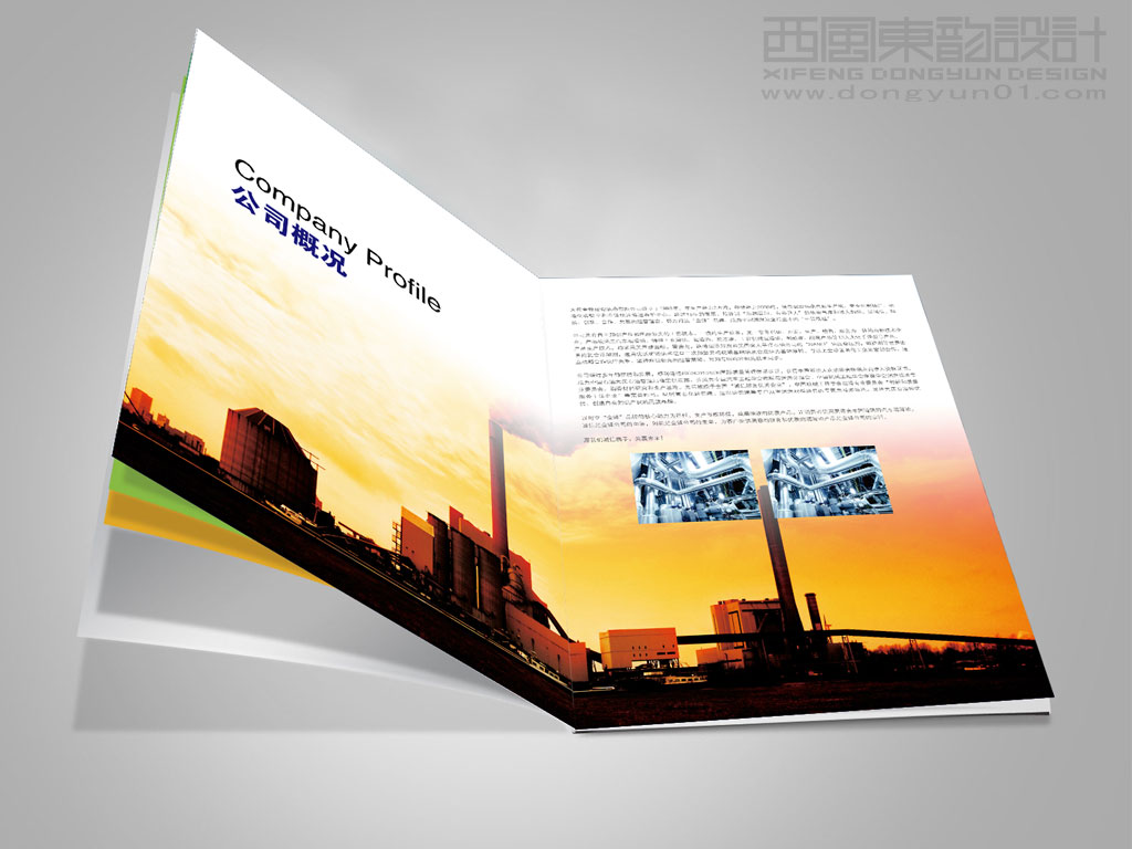 大庆金锋润滑油公司宣传画册设计之内页设计