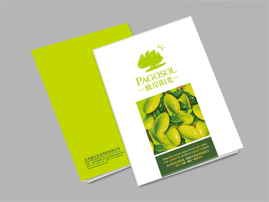 PAGOSOL彼岸阳光特级初榨橄榄油画册设计图片