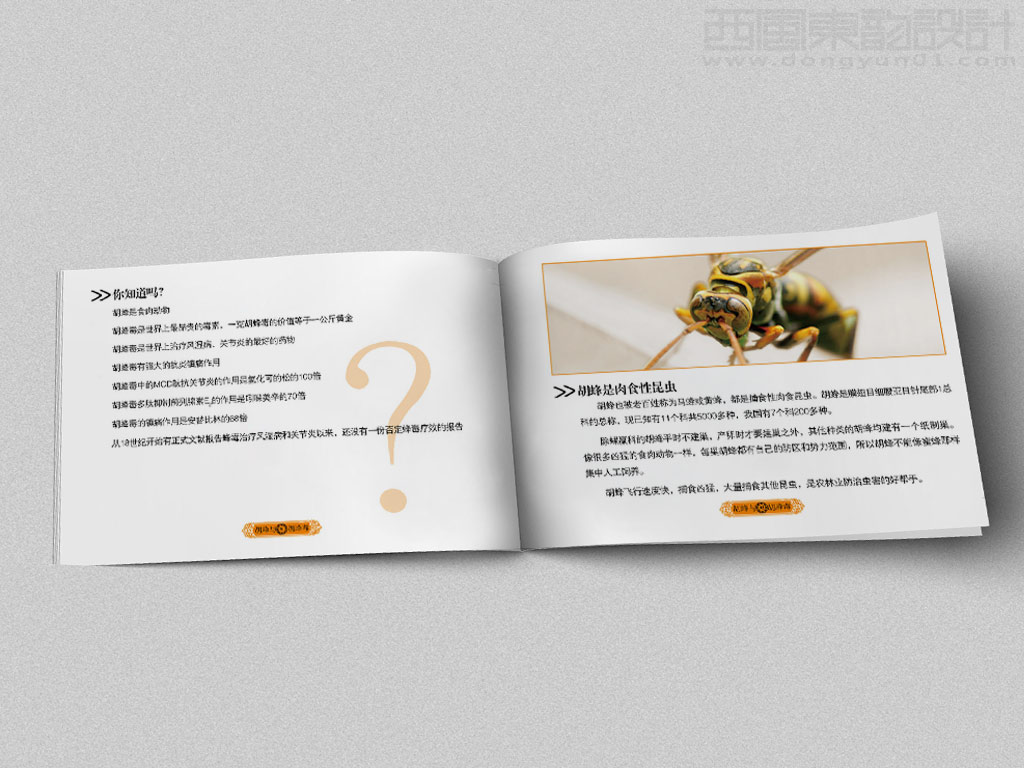 北京泰斗生物医药科技有限公司产品手册设计之胡峰介绍内页设计