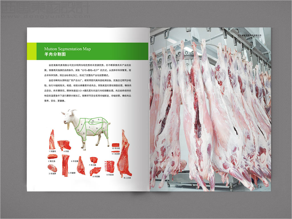 河北金宏清真肉类有限公司画册设计之羊肉分隔图内页设计