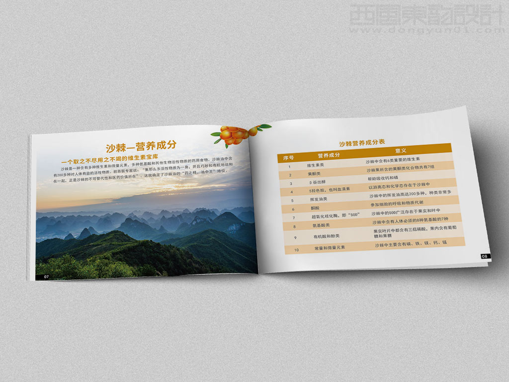 宁波市雷瑞商贸公司棘行天下产品手册设计之沙棘的营养成分内页设计