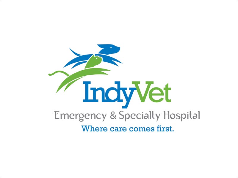 indy vet兽医诊所logo设计