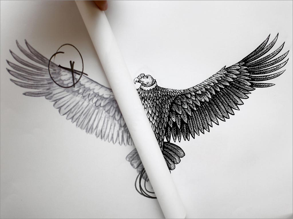 安迪诺水泥品牌logo设计之logo核心元素鹰手绘图