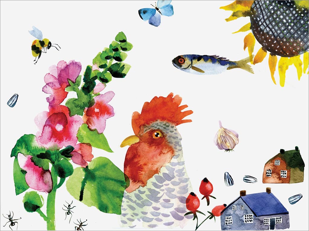 乌克兰手绘插画风格葵花籽食用油包装设计之手绘插图设计
