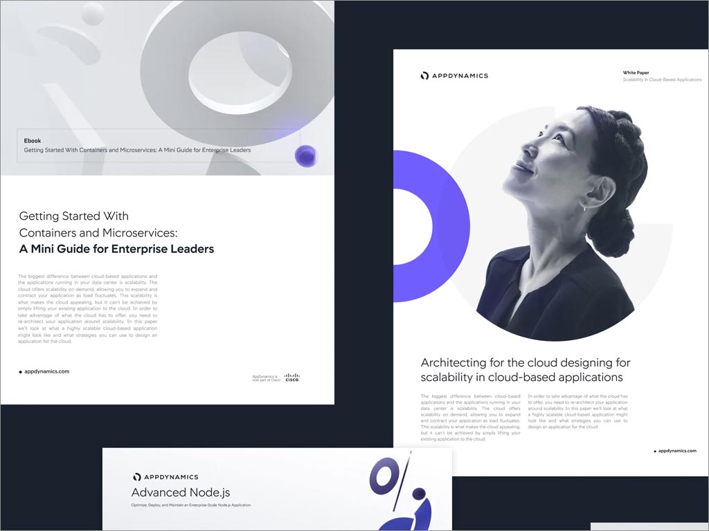 AppDynamics软件公司品牌形象vi设计之网站页面设计