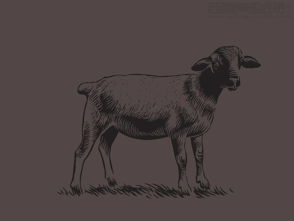 俄罗斯Dorper羊肉食品吉祥物形象设计