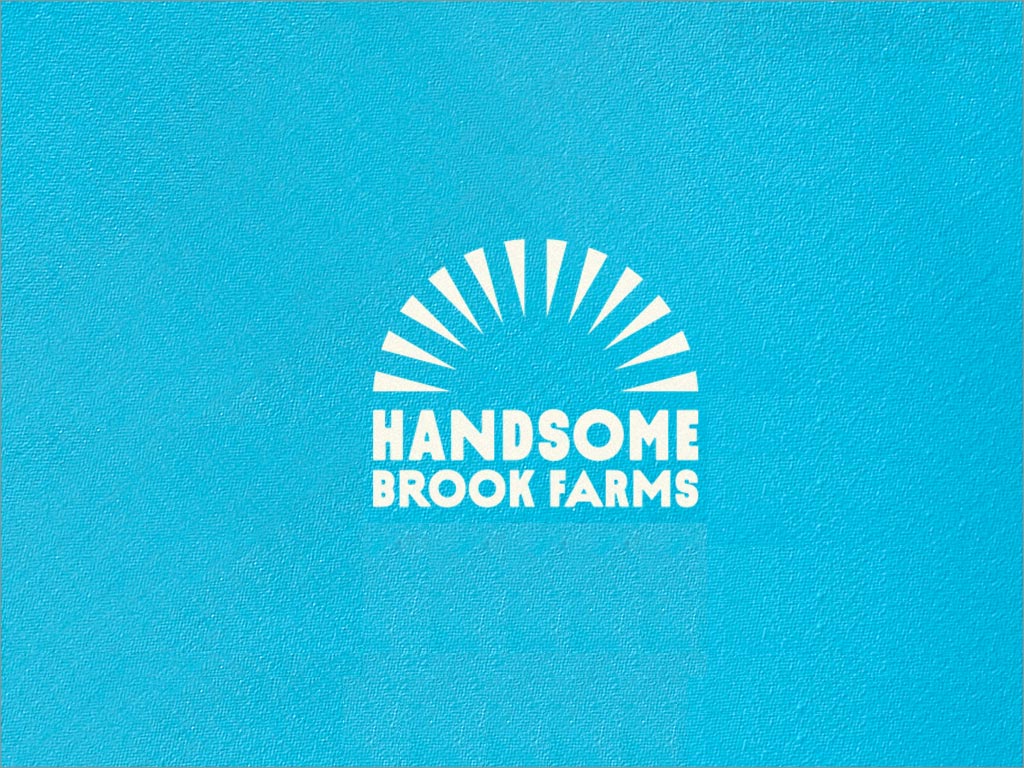 美国布鲁克农场鸡蛋品牌logo设计