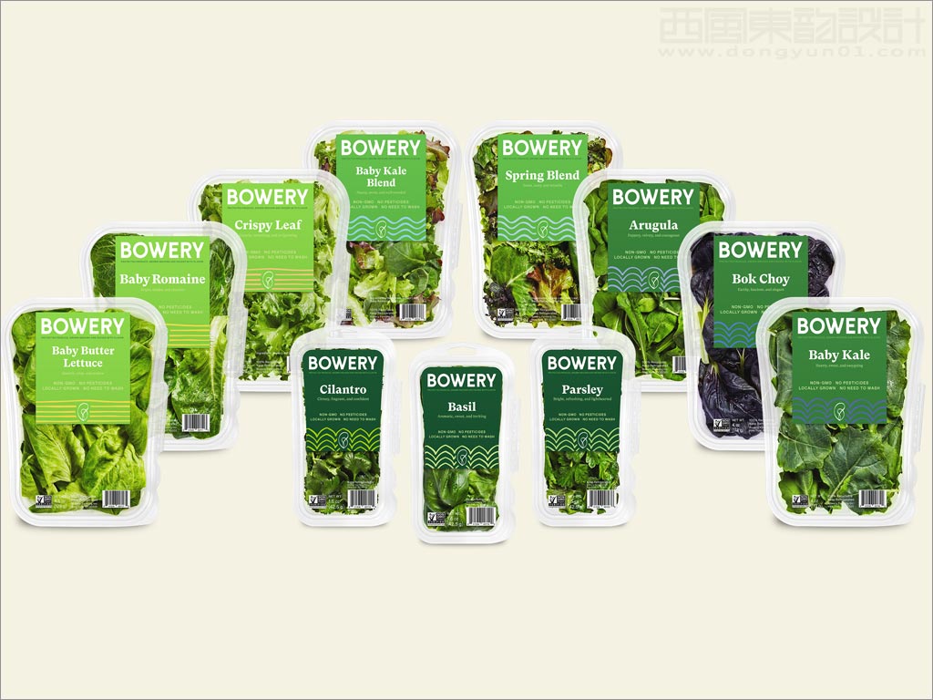 Bowery蔬菜农产品包装设计