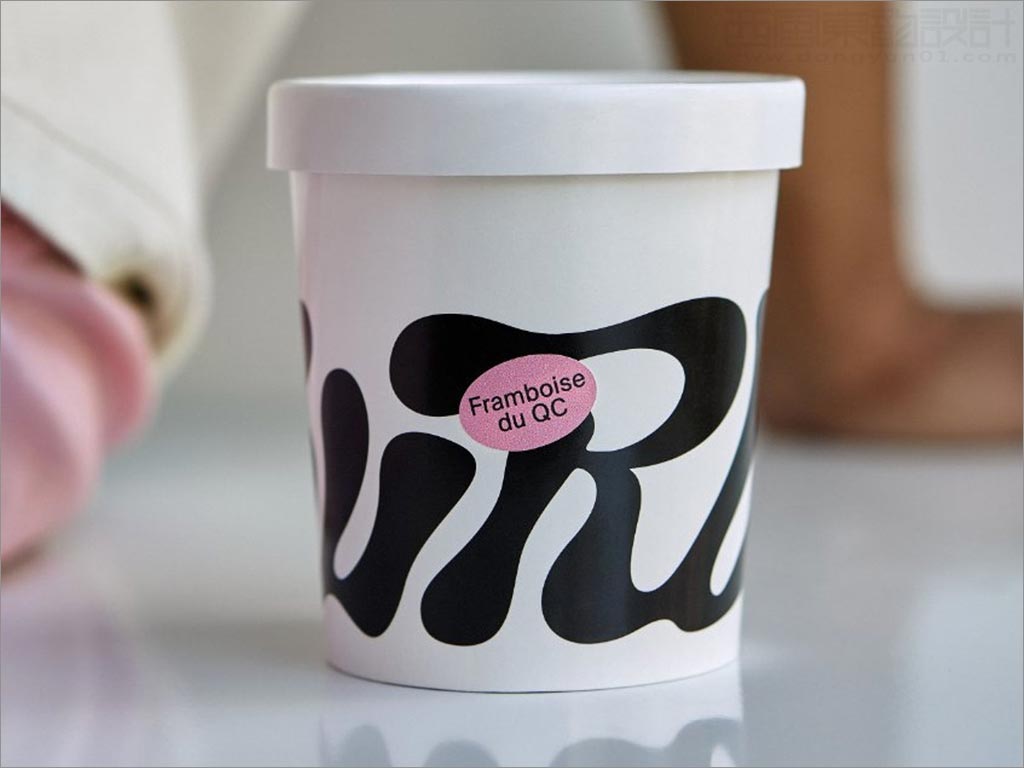 加拿大Swirl纯素食冰淇淋包装设计之正面展示