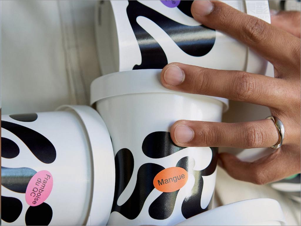 加拿大Swirl纯素食冰淇淋包装设计之实物照片