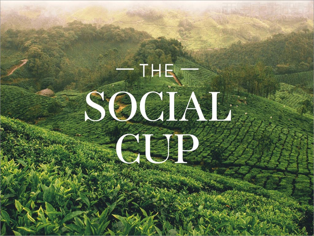印度Social Cup茶叶品牌logo设计