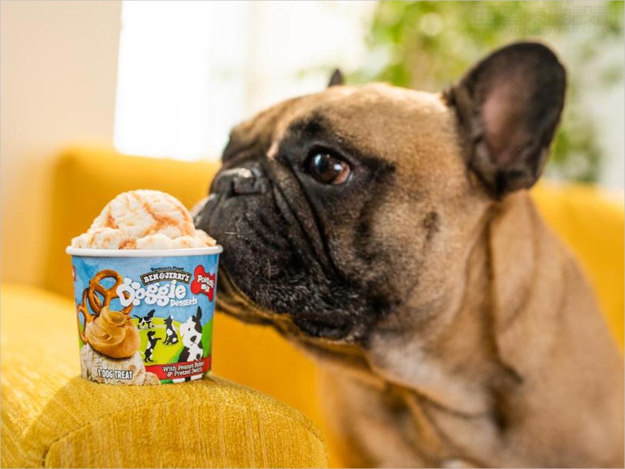 美国Doggie Desserts宠物狗冰淇淋食品包装设计之实物照片