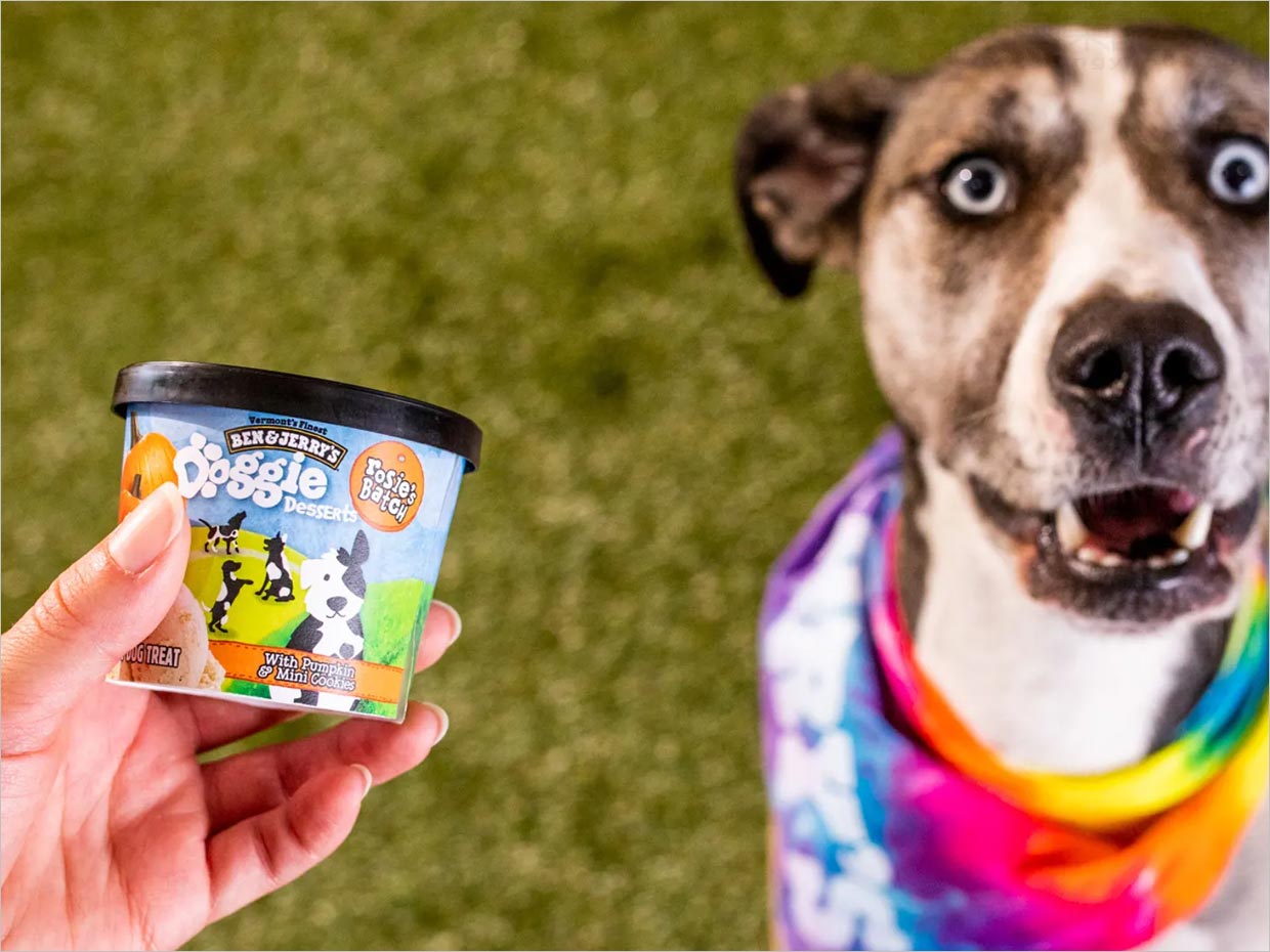 美国Doggie Desserts宠物狗冰淇淋食品包装设计之实物照片