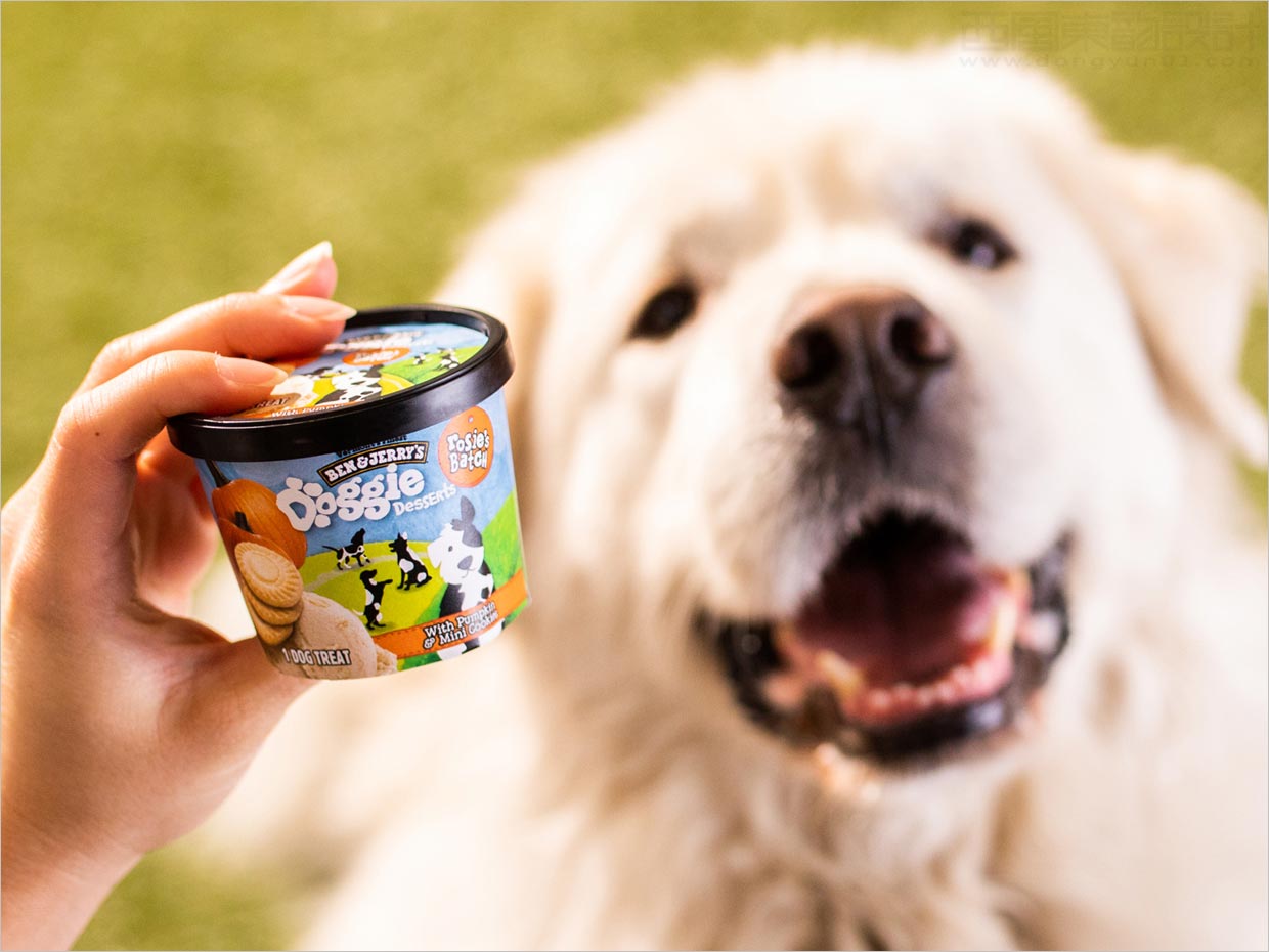 美国Doggie Desserts宠物狗冰淇淋食品包装设计之实物照片