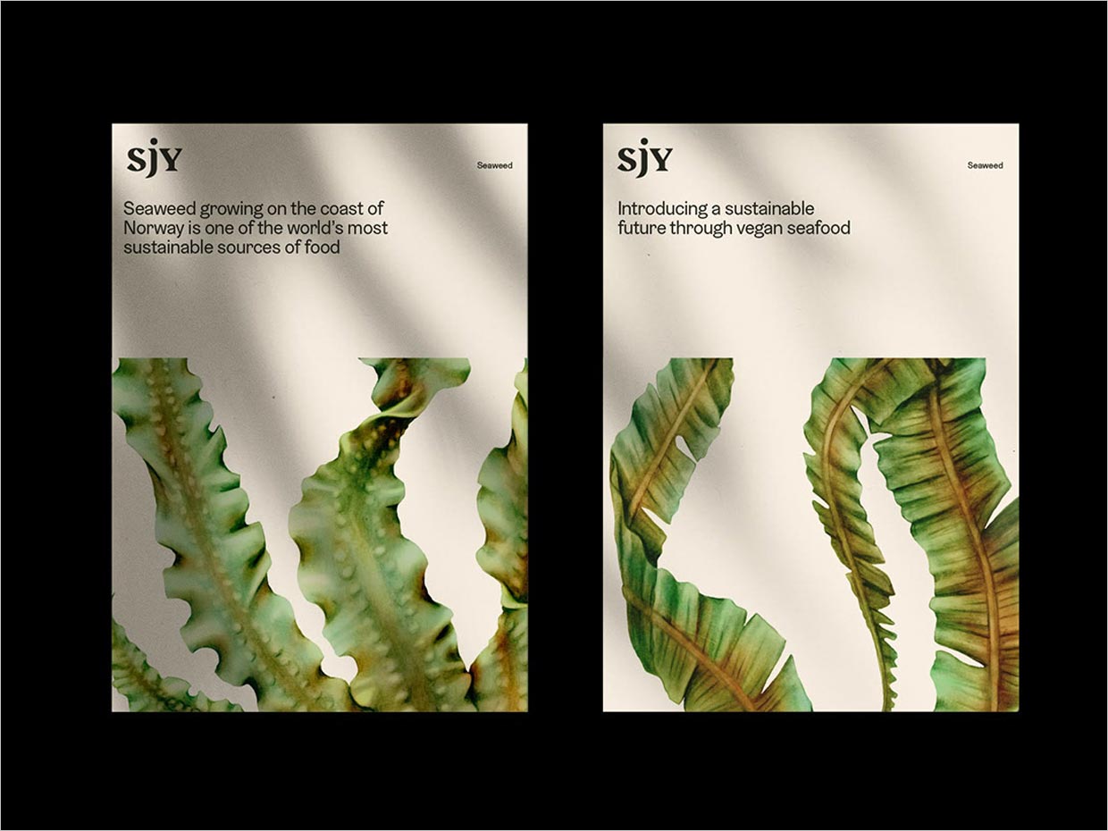 挪威Sjy海藻片素食海鲜休闲食品宣传彩页设计