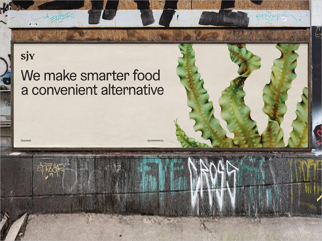 挪威Sjy海藻片素食海鲜休闲食品海报设计