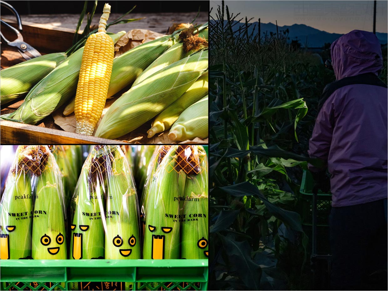 日本甜玉米农产品包装设计之实物照片