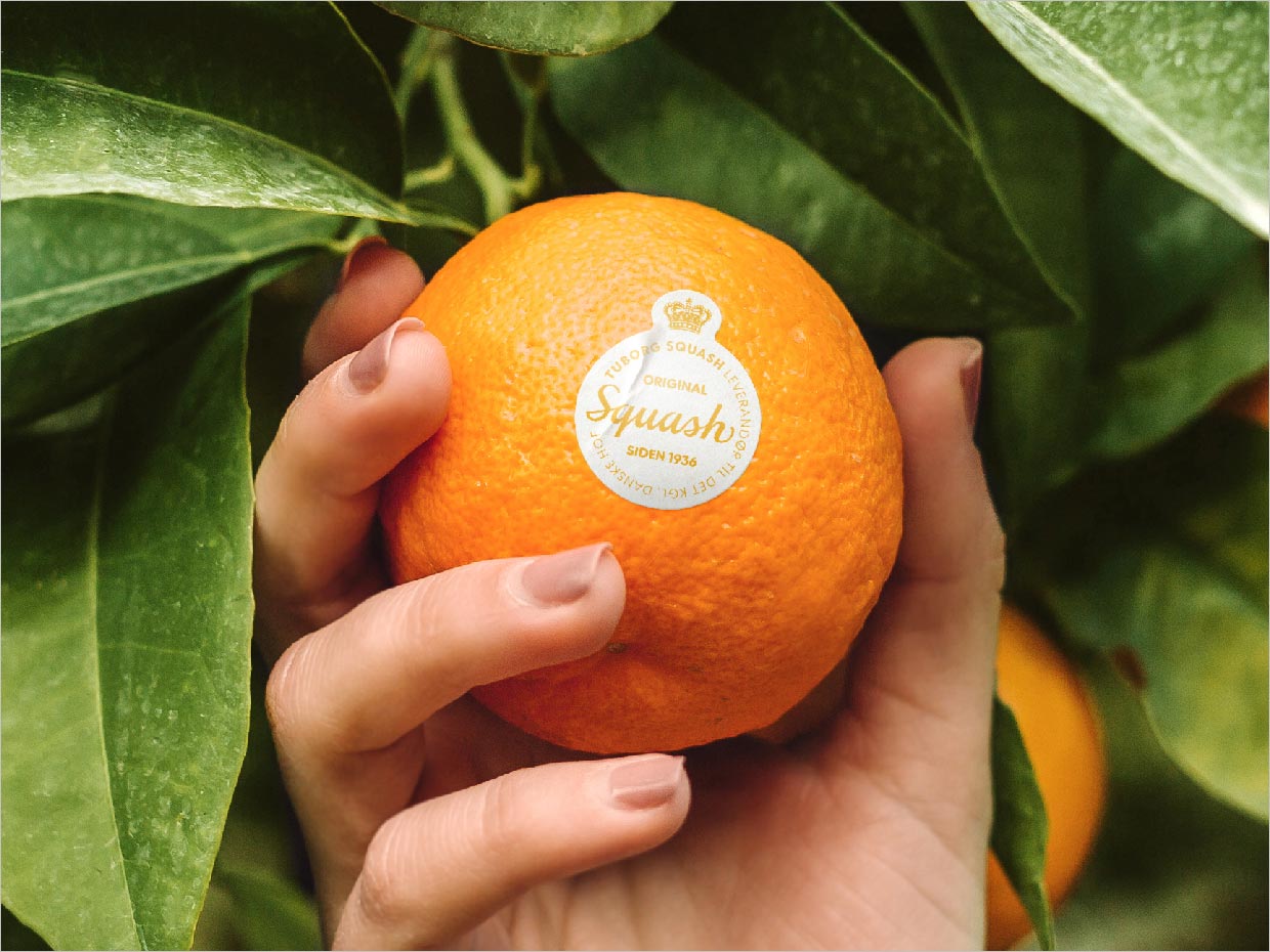丹麦Tuborg Squash橙汁果汁饮料包装设计之实物照片