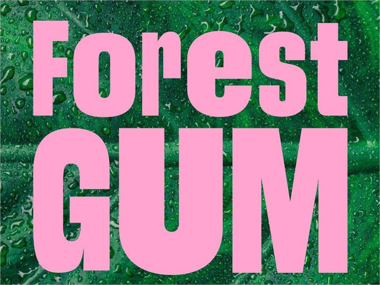 德国Forest Gum天然口香糖logo设计