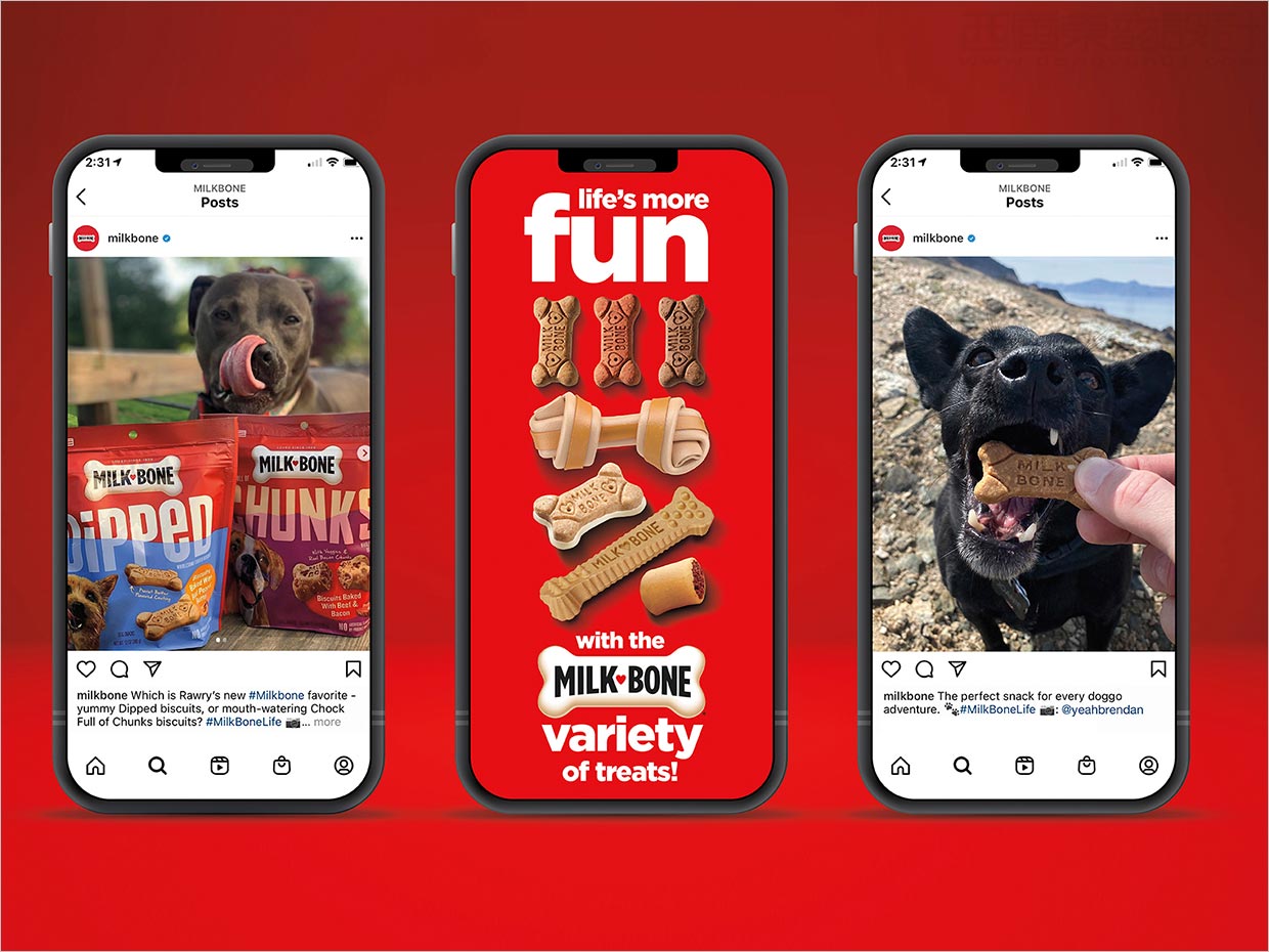 美国Milk-Bone狗粮宠物食品手机端网站设计设计