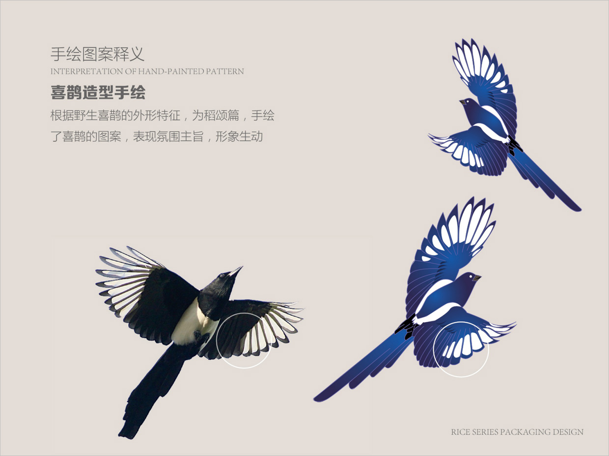 绿牧岭大米农产品包装设计之喜鹊手绘插图