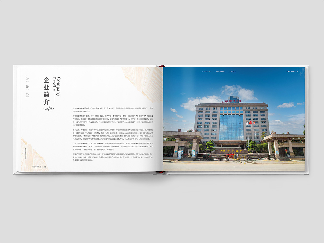 理想华莱科技集团公司画册设计之企业简介页面设计