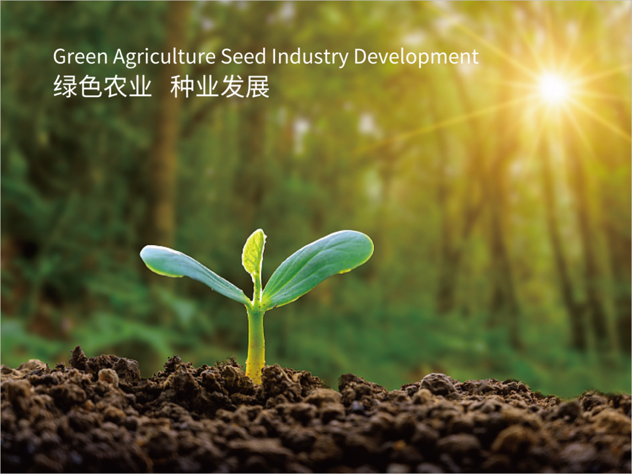 北京先农投资管理公司logo设计创意理念说明之禾苗幼芽