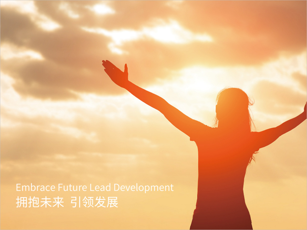 北京先农投资管理公司logo设计创意理念说明之拥抱未来