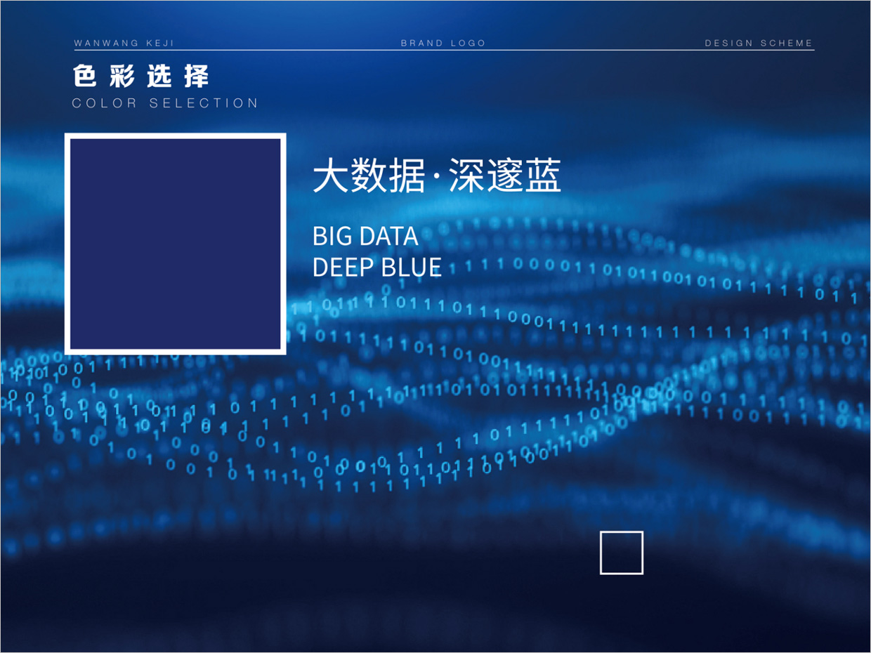 北京万旺科技公司logo设计之标准色